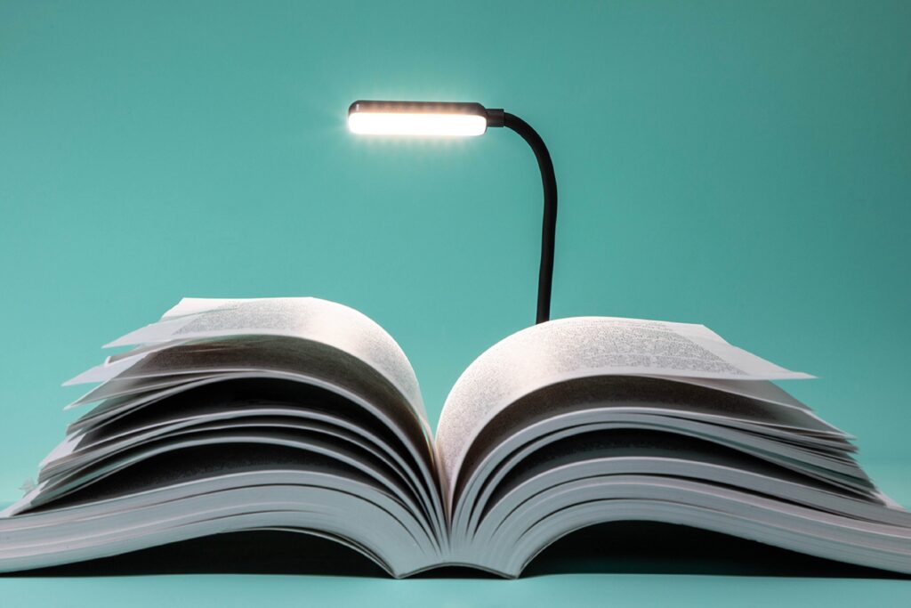 image_search_1764679964544